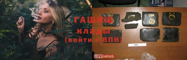 крисы Зерноград
