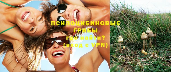 хмурый Балабаново