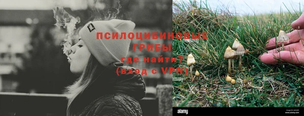 хмурый Балабаново