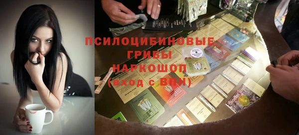 хмурый Балабаново