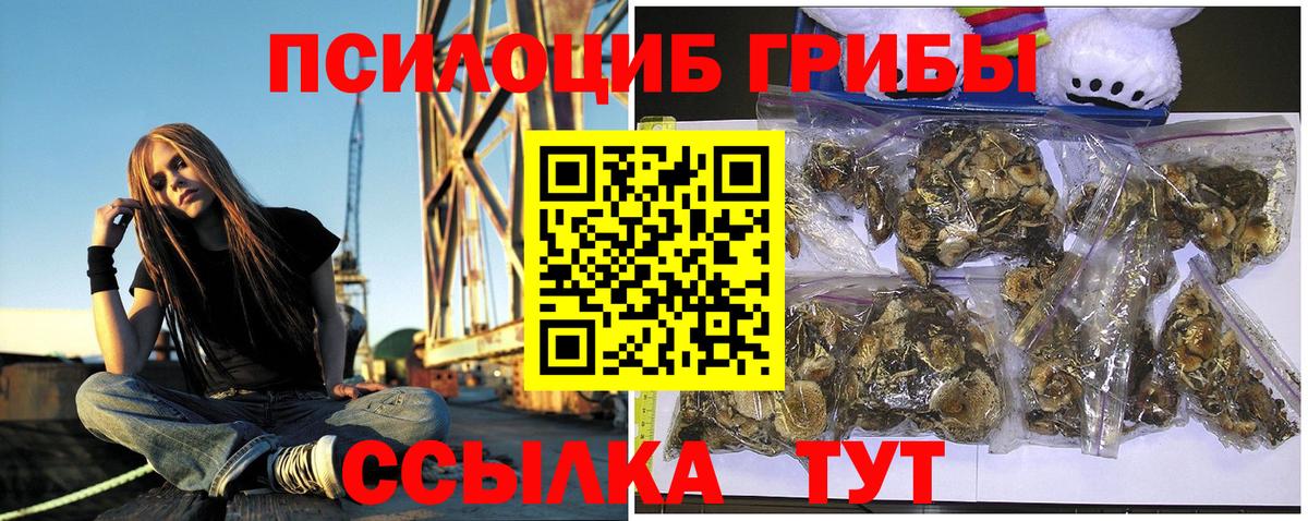 Псилоцибиновые грибы прущие грибы  Вход с VPN  Луховицы 