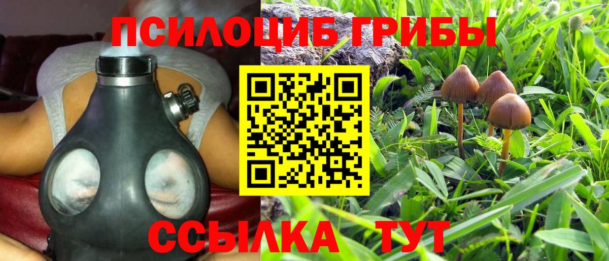 Галлюциногенные грибы Magic Shrooms Луховицы