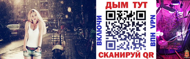 Бошки Шишки планчик hydra Луховицы